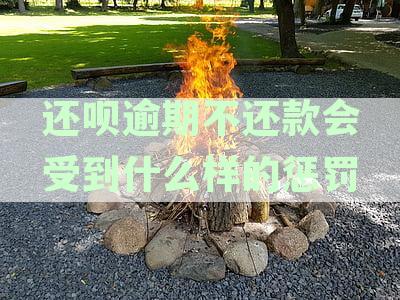 还呗逾期不还款会受到什么样的惩罚和影响？