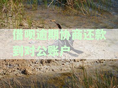 借呗逾期协商还款到对公账户安全吗：真的可靠吗？
