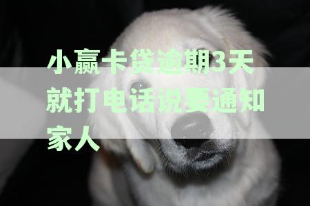 小赢卡贷逾期3天就打电话说要通知家人