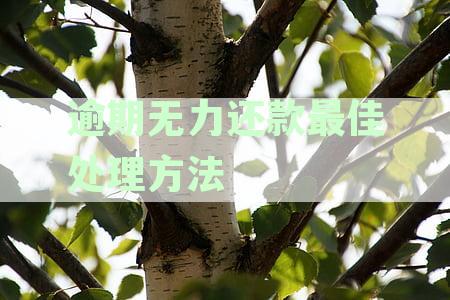 借呗逾期无力还款最佳处理方法：花呗、借呗逾期还款技巧