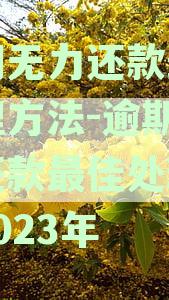 逾期无力还款最佳处理方法-逾期无力还款最佳处理方法2023年