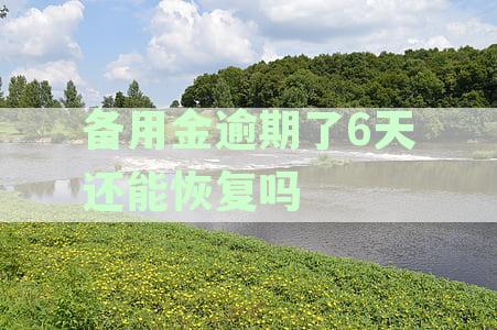 备用金逾期了6天还能恢复吗：逾期后恢复使用指南