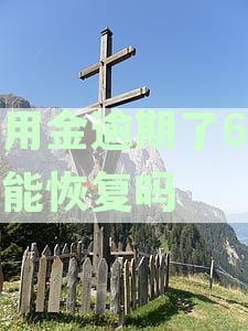 备用金逾期了6天还能恢复吗怎么办