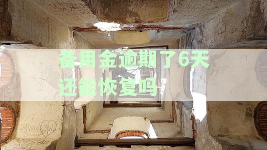 备用金逾期六天要多久才能恢复使用及额度