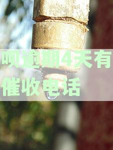 借呗逾期4天有人打催收电话,会打给家人吗安全吗,是真的吗催收来了