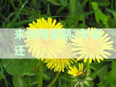 来分期逾期3年未还会上门吗？应对策略详解