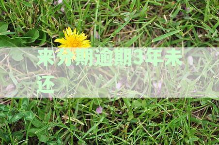 来分期逾期三年未还影响及小孩教育是否会受波及