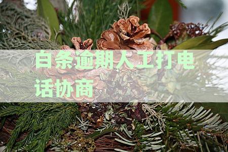 白条逾期人工打电话协商话术指南