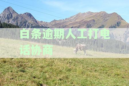 白条逾期人工打电话协商是真的吗：确认逾期的真实性及解决方式