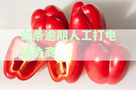白条逾期人工打电话协商二次分期 京东协商分期一次性付款吗