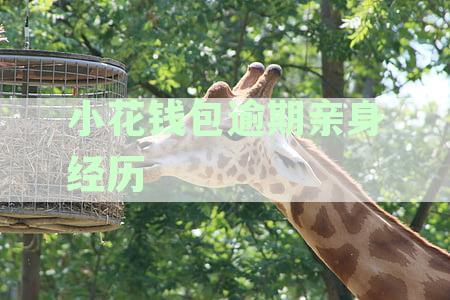 小花钱包逾期怎么办？逾期影响、强制还款详情解析