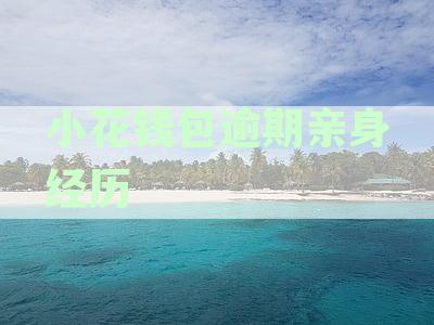 小花钱包逾期多久会强制全额还款,逾期起诉标准是多少