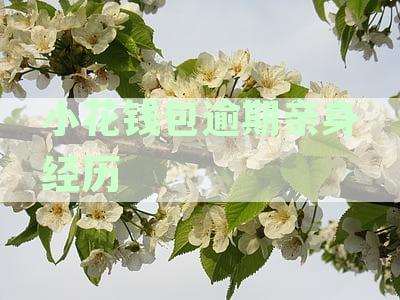 小花钱包逾期一天就联系亲朋,逾期未还急催收,怎样解决,上征信吗