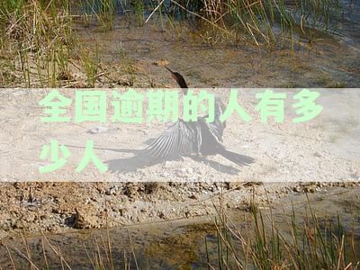 2020年全国逾期人数统计：今日头条报道