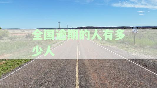全国有多少逾期人员：名单、人数及被抓情况概览