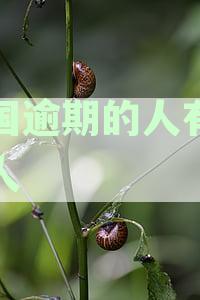 全国逾期的人有多少人