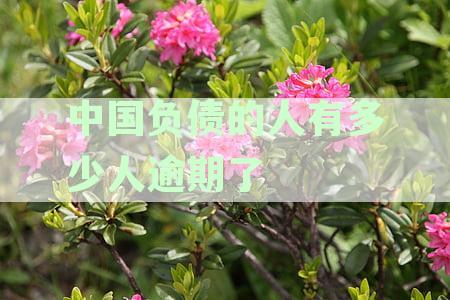 中国负债的人有多少人逾期了2022:2021与2020年逾期人数分析