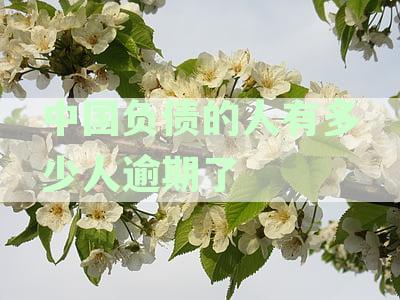 中国负债的人有多少人逾期了呢？2021年逾期债务情况分析