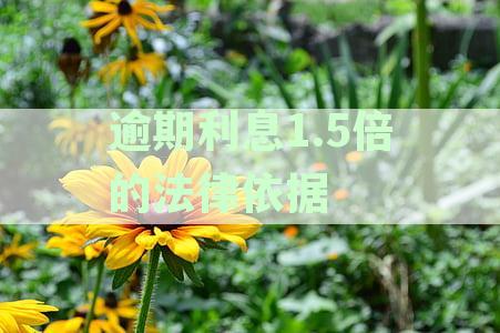 逾期利息1.5倍法律依据及司法解释详解
