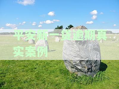 平安新一贷逾期真实案例分析：起诉时间与征信影响探究