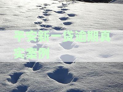 平安新一贷逾期几天对征信影响程度分析