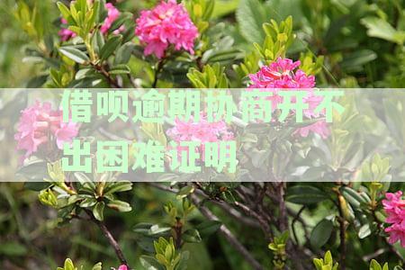 借呗逾期怎么开具相关证明