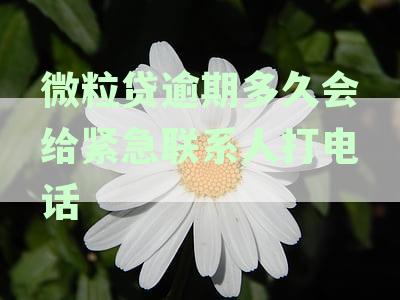 微粒贷逾期多久会给紧急联系人打电话