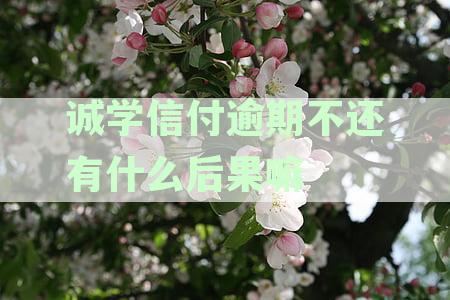 诚学信付逾期不还有什么后果嘛怎么办？