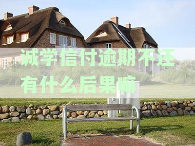诚学信付逾期不还有什么后果嘛