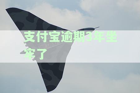支付宝逾期3年坐牢了会影响子女吗：支付宝逾期三年会坐牢吗