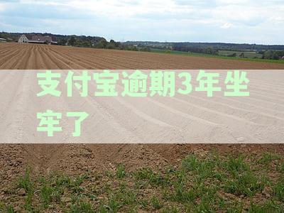 逾期多少钱才会立案:网贷、信用卡、借呗、微粒贷