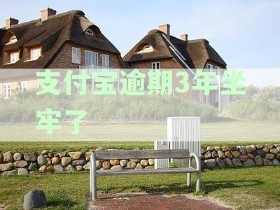 借呗80000逾期2年亲身经历：花呗借呗逾期不还会不会坐牢真实经历