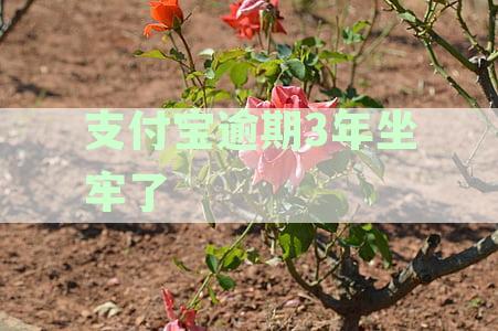 借呗欠了10万逾期6年了未起诉会坐牢吗支付宝法务说起诉会上门