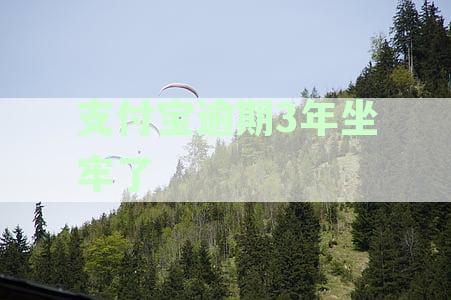支付宝逾期3年坐牢了