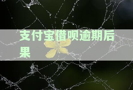支付宝借呗逾期后果会怎样