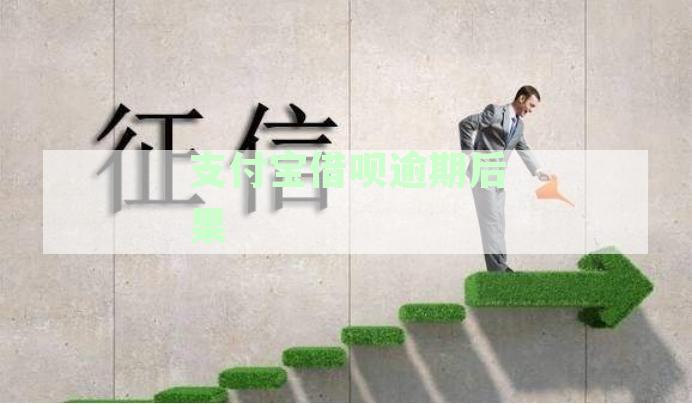 支付宝借呗逾期后果