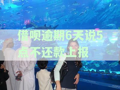 借呗逾期6天说5点不还款上报怎么办