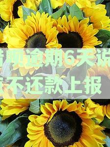 借呗逾期6天说5点不还款上报