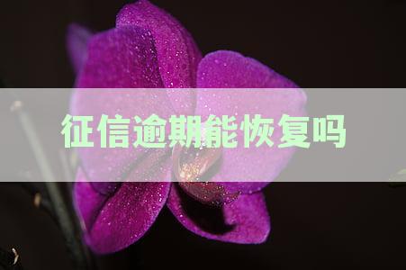 征信逾期了能修复吗：影响、申诉及信誉恢复可能性