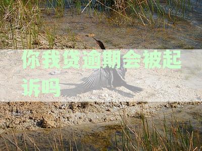 你我贷逾期会被起诉吗真还不上怎么办，应对逾期策略详解