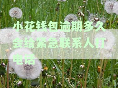 小花钱包逾期多久会给紧急联系人打电话 一天内会联系吗