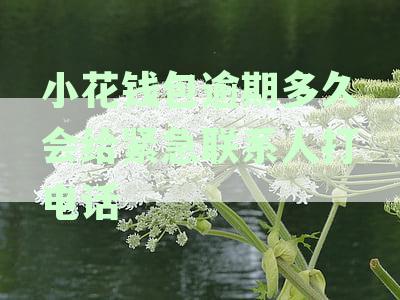 小花钱包逾期后是否会联系通讯录中的联系人