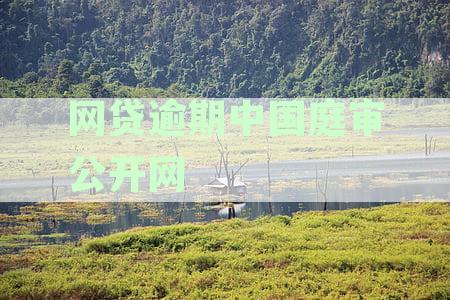 网贷逾期被起诉，中国庭审公开网如何查询及应对？