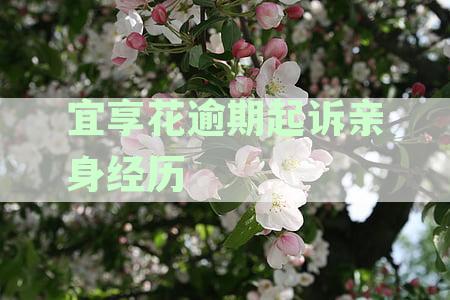 亲身经历宜享花逾期起诉：财产保全过程详解