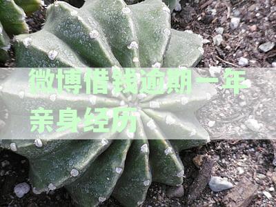 微博借钱逾期到底多严重：亲身经历逾期3天即受威胁