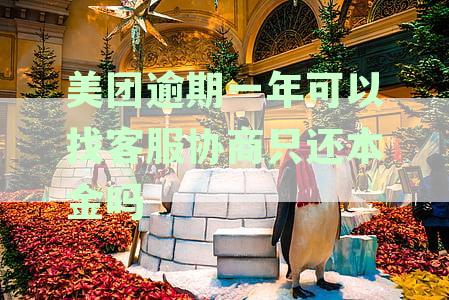 美团逾期还款仅还本金，一年后与客服协商是否可行？安全因素分析