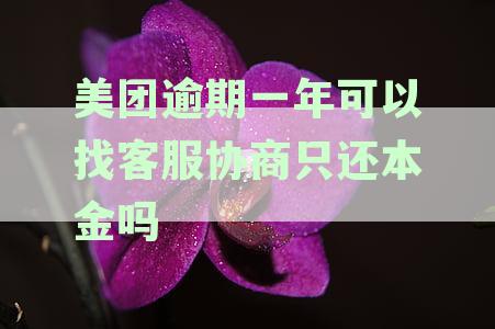 美团逾期一年会上门吗：逾期后果与解决方法解析