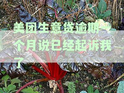 美团生意贷逾期引发法律诉讼，一个月未还面临起诉警告