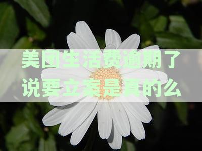 美团生活费逾期案件疑云：姓名不引发真假之谜