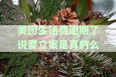 美团生活费逾期了会被起诉吗？了解逾期后的法律后果及应对策略